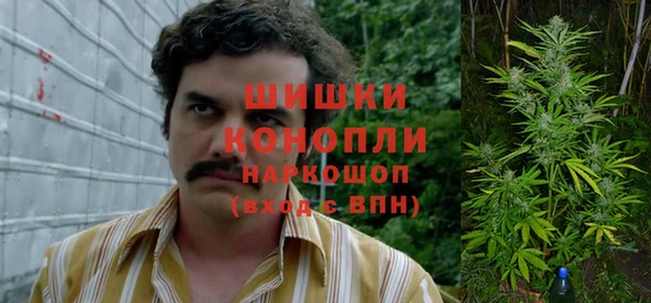 МДПВ Абдулино