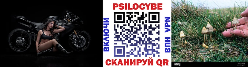 Галлюциногенные грибы MAGIC MUSHROOMS  Павловский Посад 